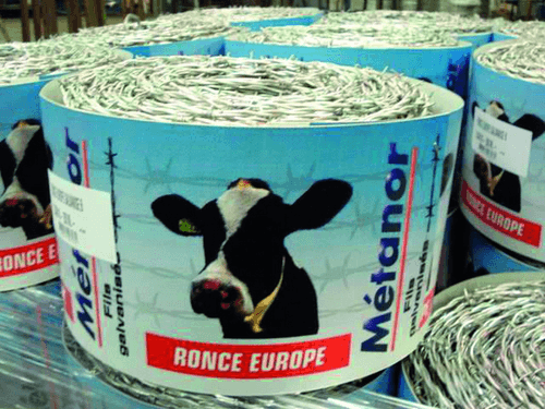 Clôtures - Tréfilés - Ronce EUROPE galvanisé 2,2 mm