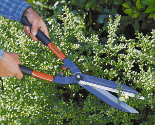 Viticulture, arboriculture - Sécateurs - Cisailles P51-F